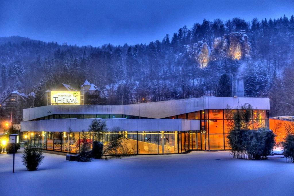 Wohnen Im Schwarzwald Mit Panoramablick Apartment Бад Хереналб Екстериор снимка