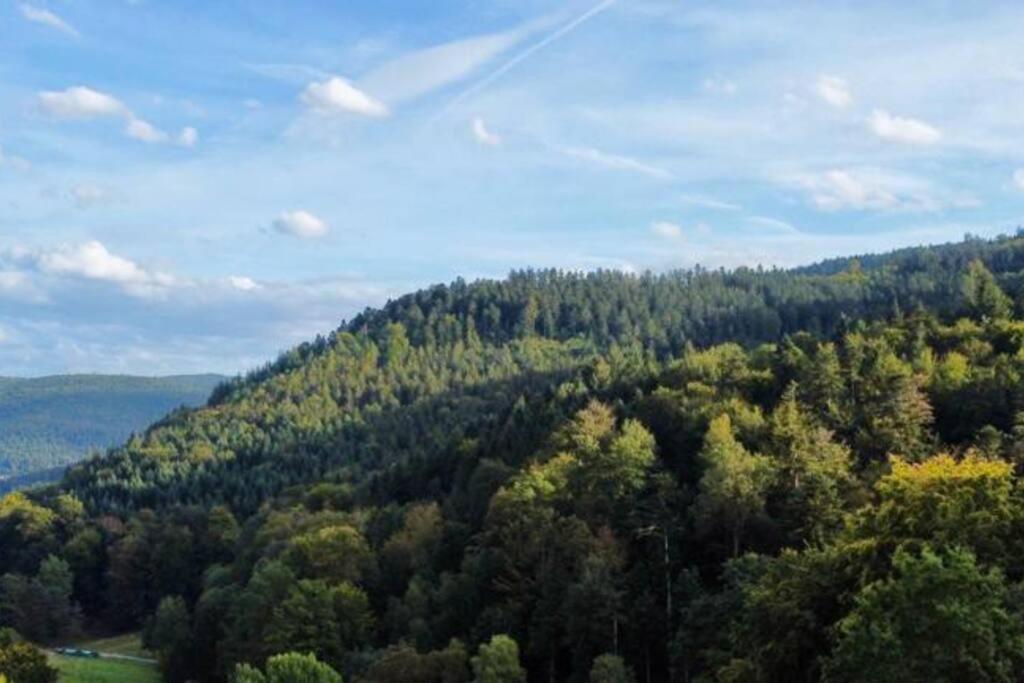 Wohnen Im Schwarzwald Mit Panoramablick Apartment Бад Хереналб Екстериор снимка